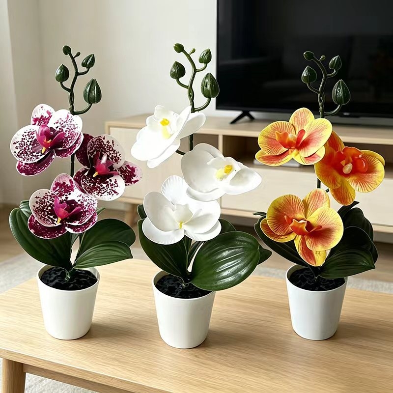 Baby Nursery Ornaments - Mini Butterfly Orchid Potted Plant with