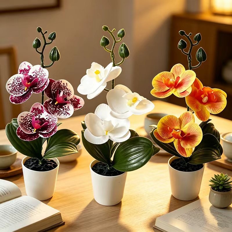 Mini Butterfly Orchid Potted P - Baby Nursery Ornaments review and price