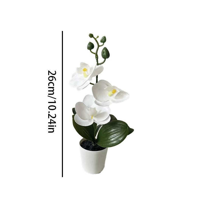 Mini Butterfly Orchid Potted P - Baby Nursery Ornaments review and price