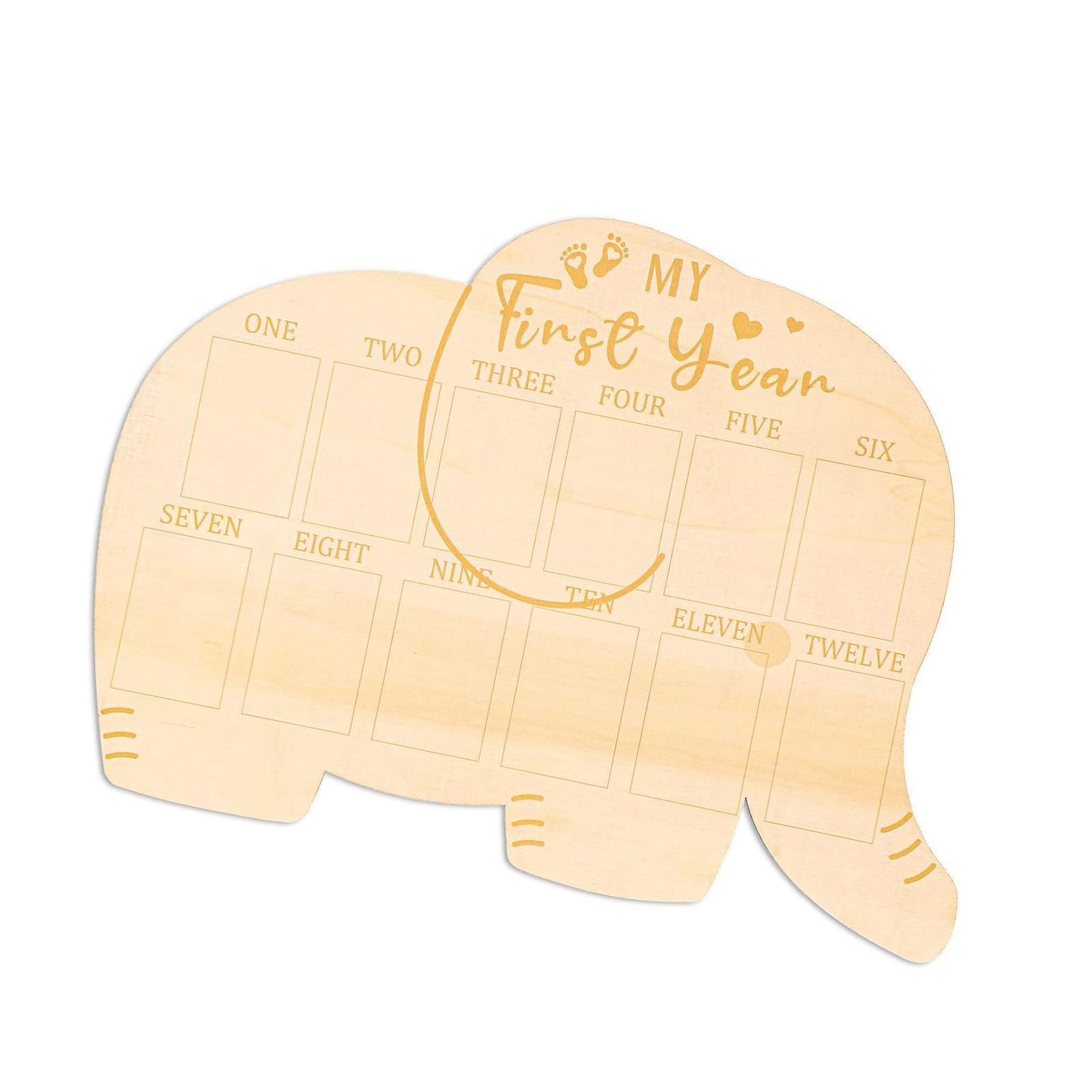 Baby First Twelve Months Photo - Baby Nursery Keepsake review and price
